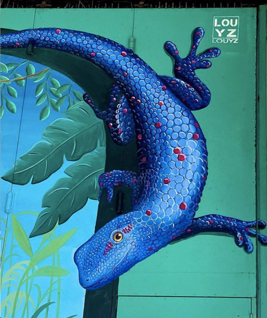 Détail de la fresque en trompe l'oeil  de Louyz.